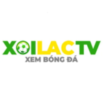 xoilaccvinet